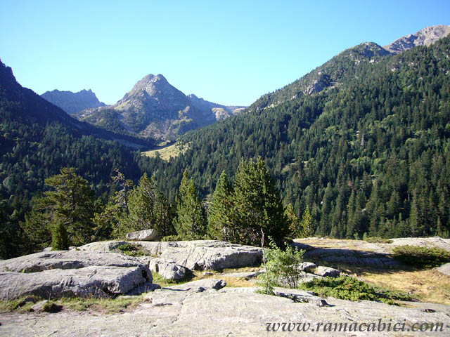 Planell de Sant Esperit