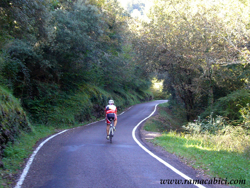 Zona sombra junto a Riera de Beget