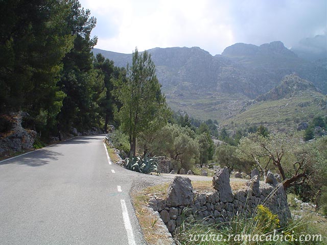 Paso por Es Bosc