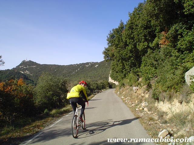 En la carretera que nos conduce al Santuari